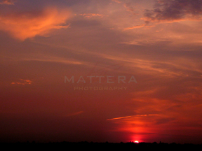 [   Sunrise   2004 - 08 - 10   New York   /   0408ROE2545   ]