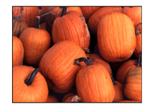 pumpkinscard